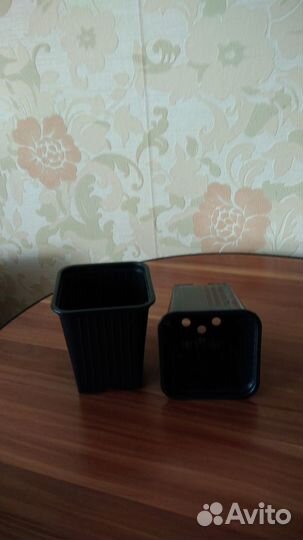 Микропарник и горшочки для рассады