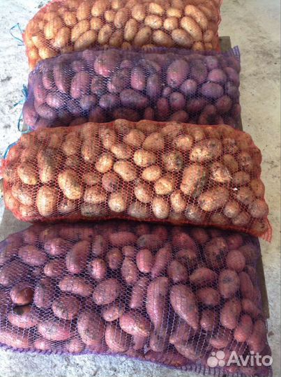 Продам картофель, морковь, свёкла