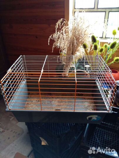 Клетка для грызунов, для птиц ferplast