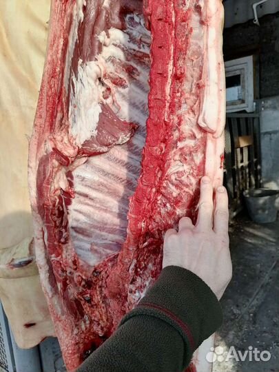 Продам деревенское мясо свинина