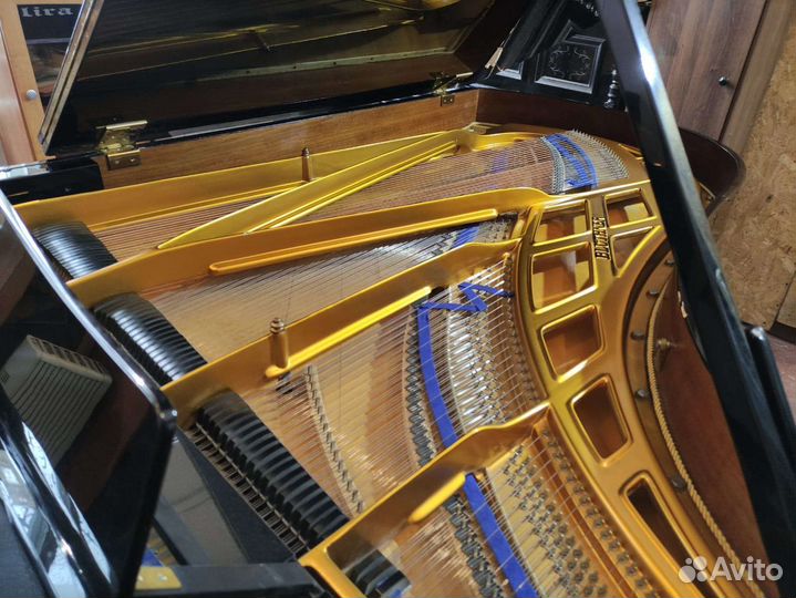 Малый концертный рояль Blüthner