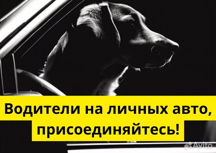 Ищем водителей в Яндекс.Go