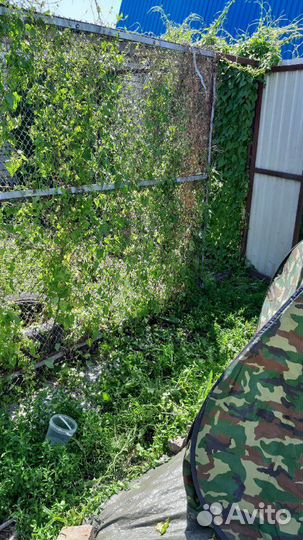 Гостиница для собак, передержка