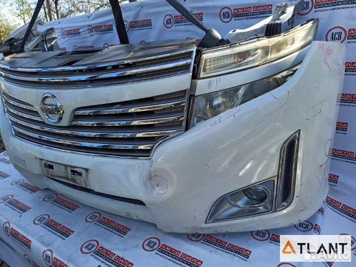 Nose cut nissan elgrand