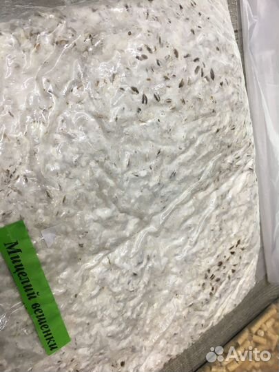 Комплект готовый для грибного блока просто сделать