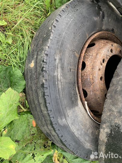 Aeolus Allroads D 10 R20 200