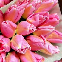 Тюльпаны оптом с теплицы