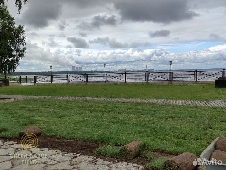 Газон премиальный высокое качество