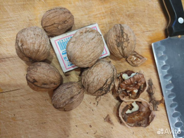 Грецкий орех в скорлупе