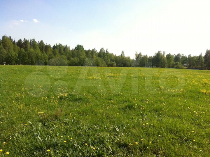 Участок 9,6 га (СНТ, ДНП)