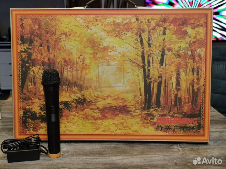 Колонка караоке картина Temeisheng дизайн