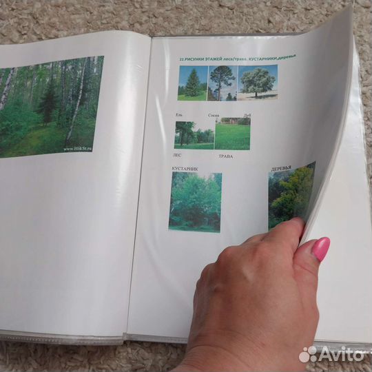 Детский сад