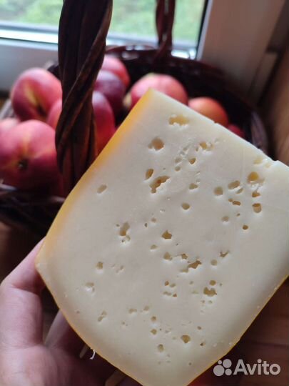 Фермерские молочные продукты, сыр, молоко, творог