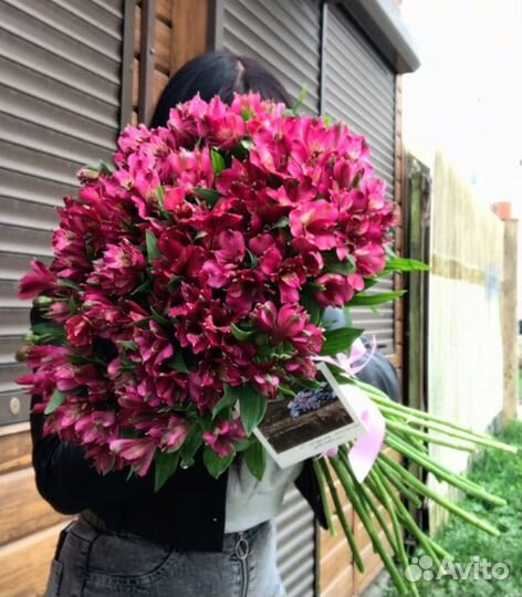 Альстромерия букеты цветы