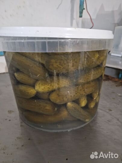 Капуста квашеная