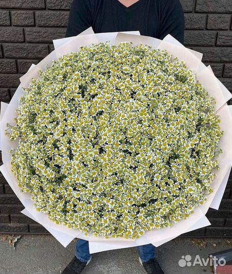 Ромашки Букет из ромашек доставка