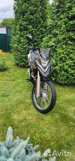 Racer ranger RC300-GY8