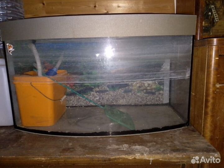 Аквариум