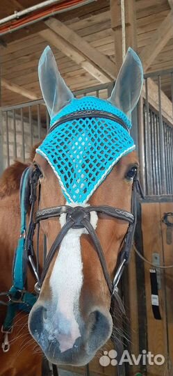 Ушки для лошади на заказ