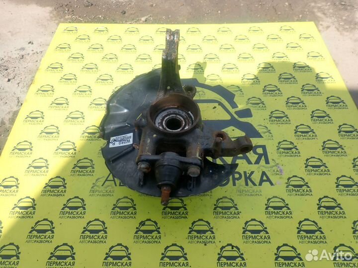 Кулак поворотный передний правый Kia Cerato 09-13