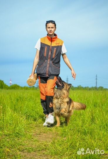 Дрессировка собак, кинолог, передержка