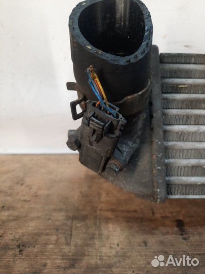 Интеркулер Kia Venga хэтчбэк 5 дв. 1.4 D4FC 2011