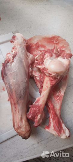 Корм для животных-мясо.субпродукты.фарши.хрящи