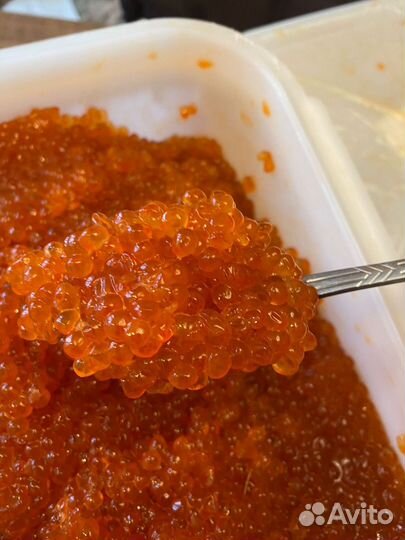 Красная икра кеты