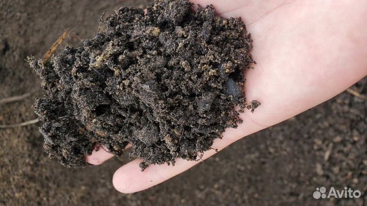 Растительный грунт