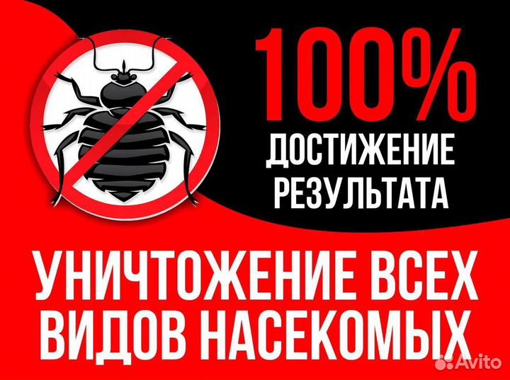 Уничтожение насекомых, грызунов и запаха 24/7