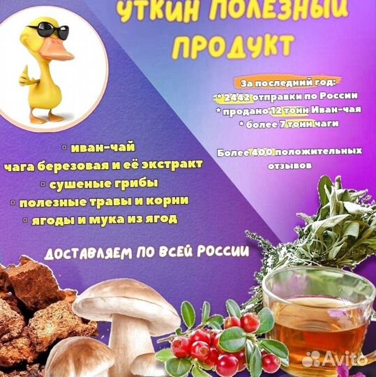 Иван чай опт