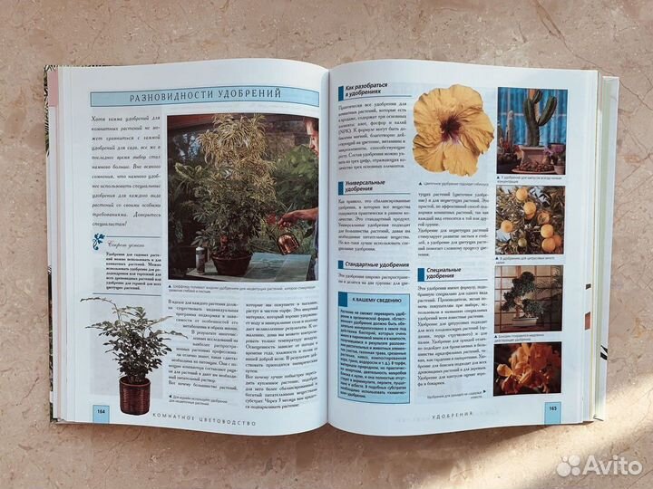 Энциклопедия комнатных растений