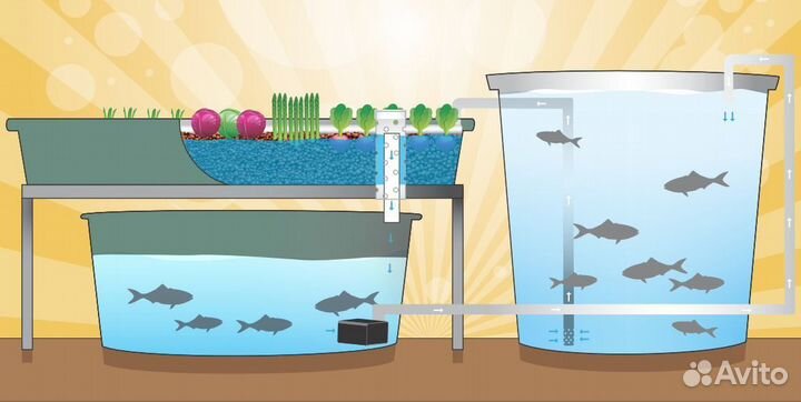 Акваферма в лизинг. Разведение рыбы на основе узв