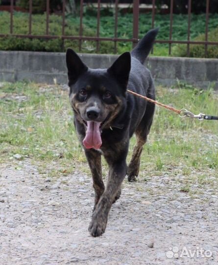 Последняя просьба дедушки