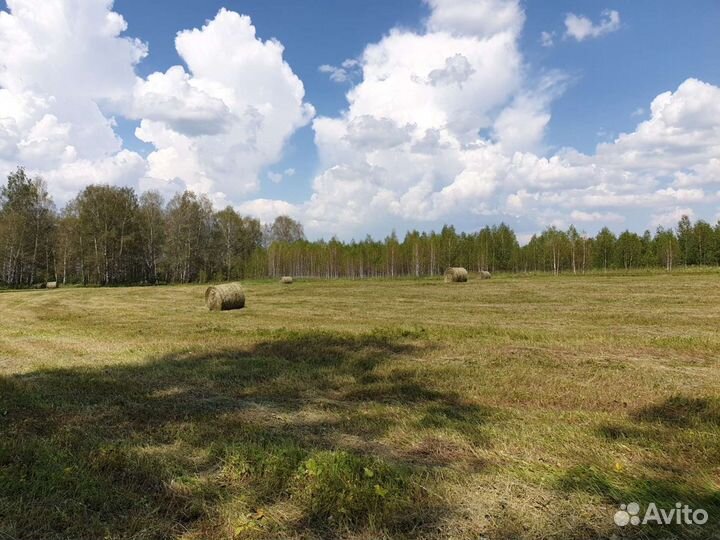 Сено в рулонах 350кг