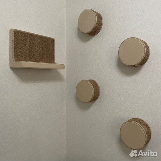 Когтеточка