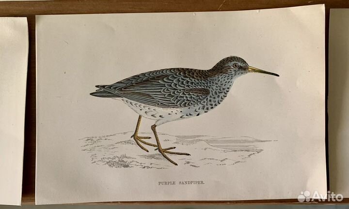 Ксилография гравюры антикварные