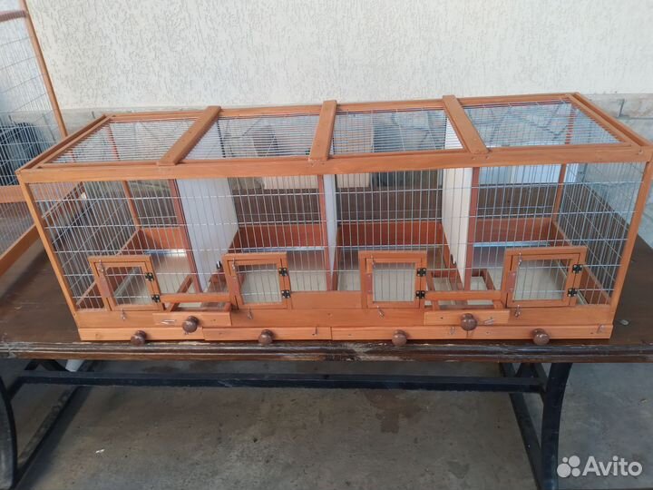 Клетки пролетки