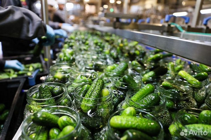 Вахта Разнорабочий (проживание+3х питание)