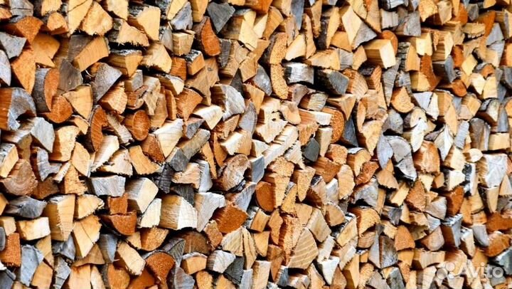 Дрова без гнили