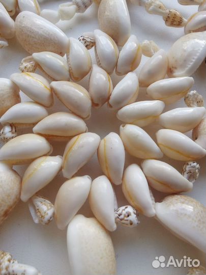 Подставка под горячее (из ракушек)