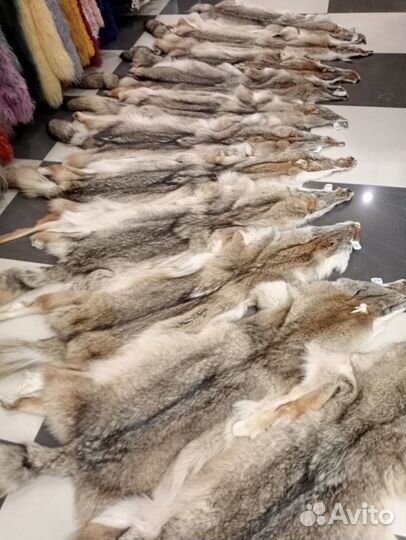 Натуральный мех койот, луговой волк шкурки