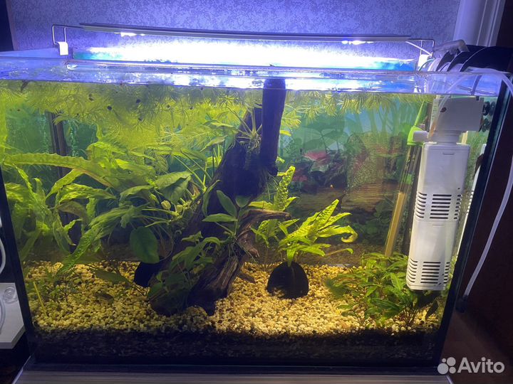 Аквариум 80 л