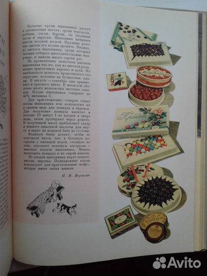 Детское питание 1963г