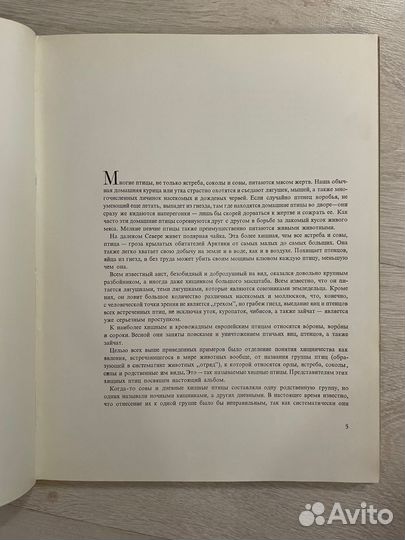 В.Пухальский.