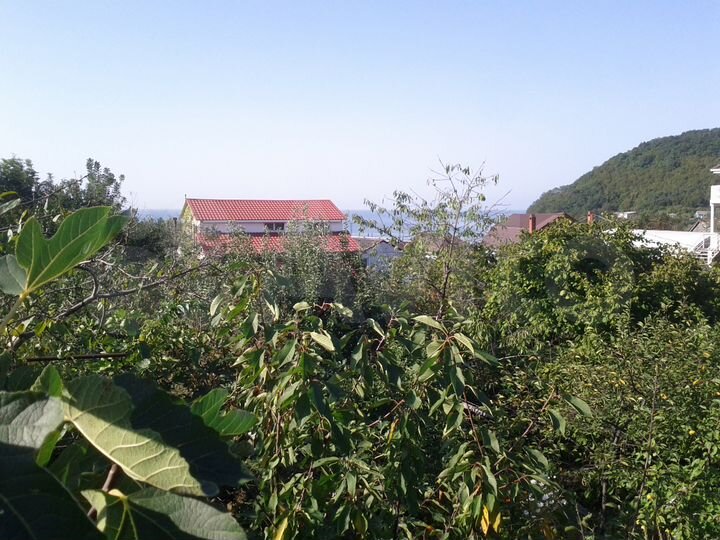 Дом 52 м² на участке 2,3 сот.