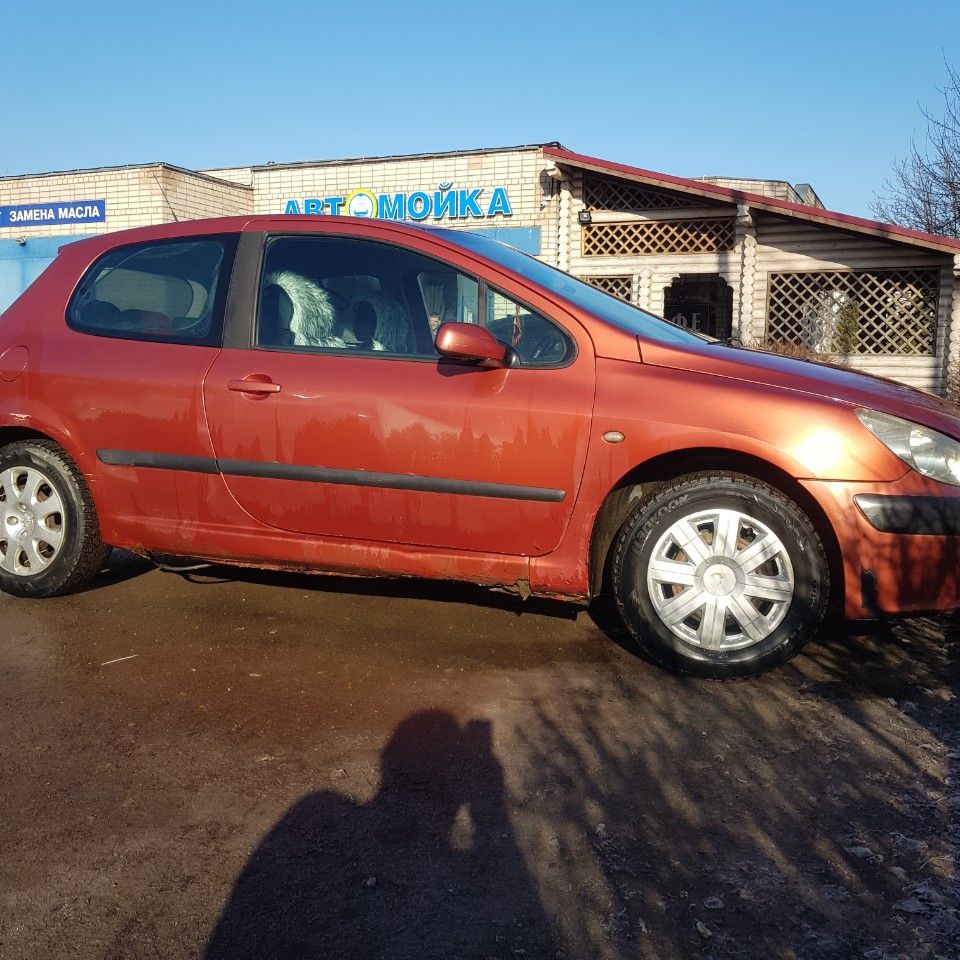 Peugeot 307: фото владельца