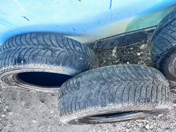 Nexen Winguard Ice Plus 175/65 R14