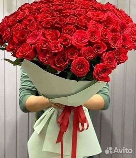 Розы Высокие 150см 160см 170см 180см 190см 2м