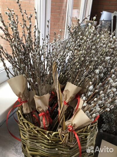 Вербный букет